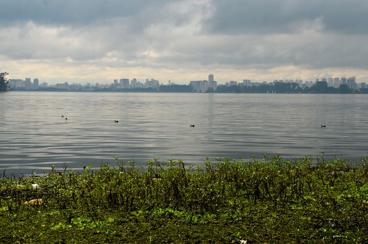 São Paulo - 11ª edição do Abraço simbólico da represa Guarapiranga com o tema Água limpa e saneamento é saúde. Exija, pratique! marca o Dia Mundial do Meio Ambiente, comemorado hoje, 5 de junho (Rovena Rosa/Agência Brasil)