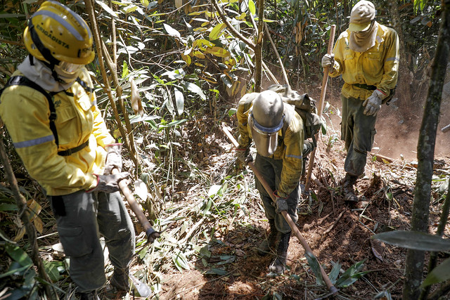 18/09/2024 - Com fogo no Parque Nacional controlado, bombeiros e brigadistas trabalham no resfriamento do solo