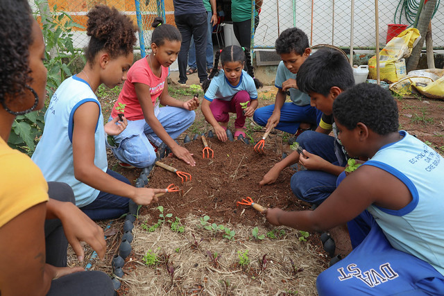 24/11/2024 - Colégio público em Brazlândia se destaca por adaptar aulas à realidade dos alunos