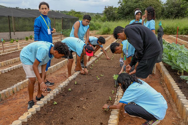 25/02/2025 - Estudantes de São Sebastião visitam horta comunitária do Alto Mangueiral