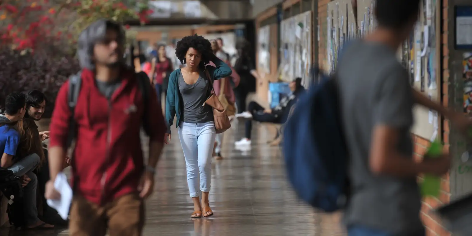 Pesquisadores apresentam guia para gestão pública antirracista