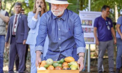 Lula ressalta a importância da qualidade do agronegócio para o aumento das exportações
