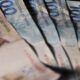 Reforma tributária revela desafios na automatização das empresas