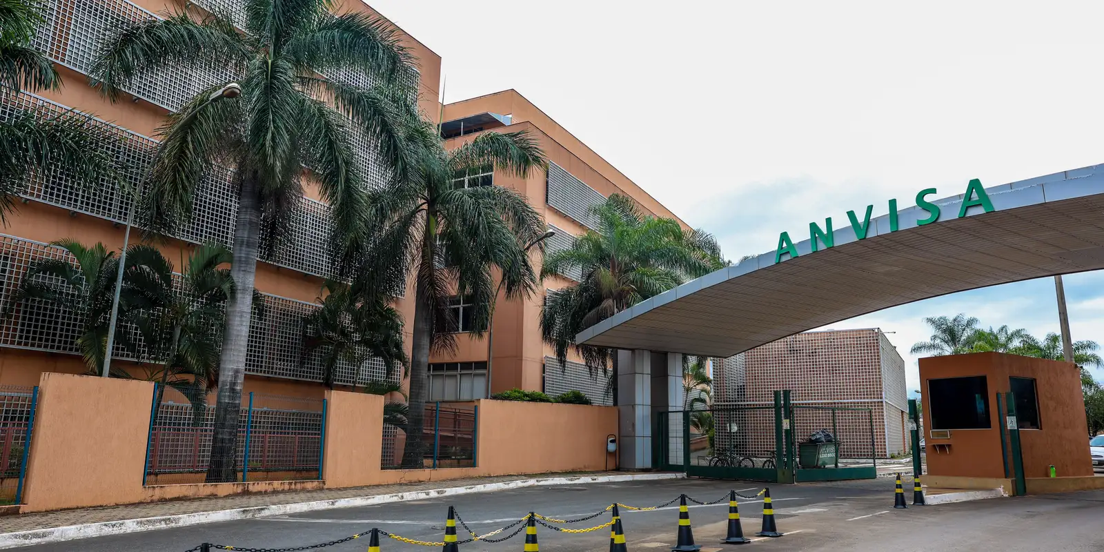 Anvisa aprova novas canetas de semaglutida, incluindo a primeira versão genérica