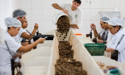 Consulta sobre bens sustentáveis no acordo Mercosul–UE termina na quarta-feira