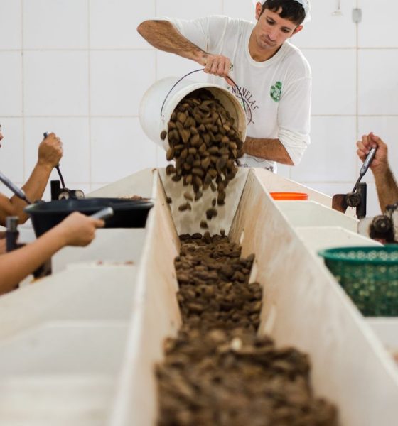 Consulta sobre bens sustentáveis no acordo Mercosul–UE termina na quarta-feira