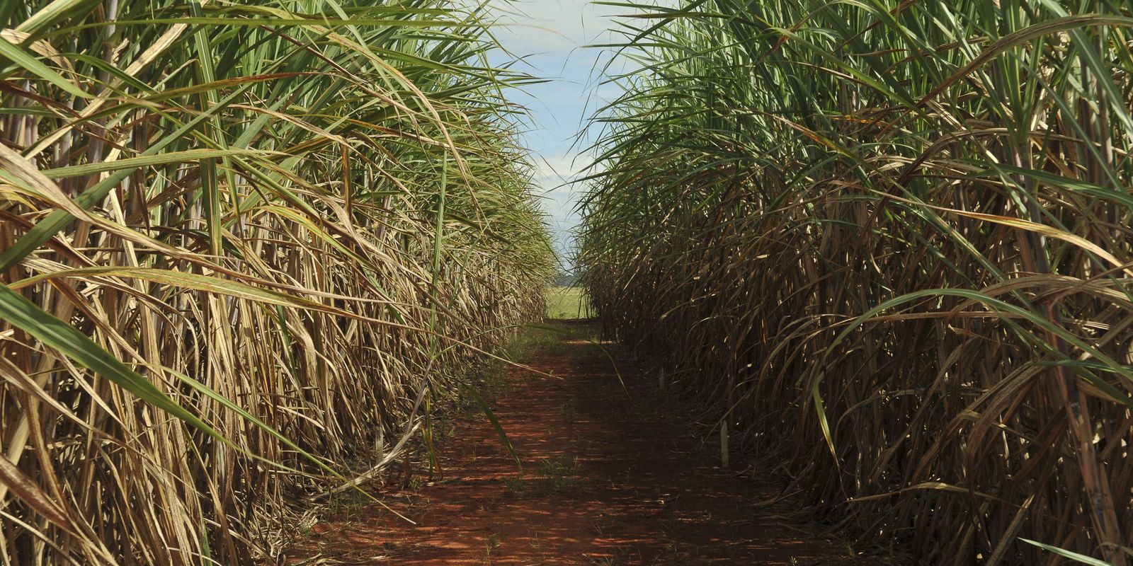 Conselho aumenta teto de remuneração do Eco Invest Brasil
