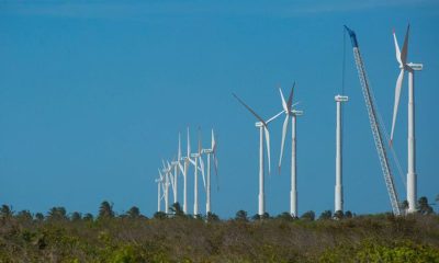 Projeto identifica trajetórias para a economia verde no Nordeste