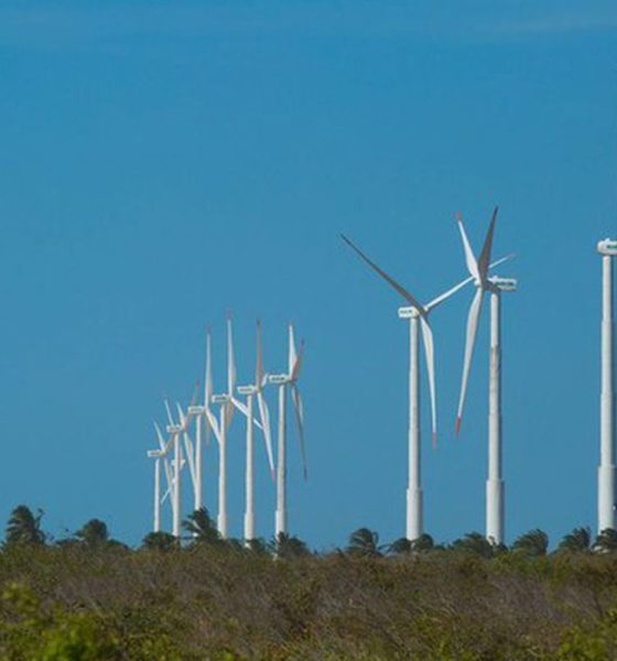 Projeto identifica trajetórias para a economia verde no Nordeste
