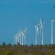 Projeto identifica trajetórias para a economia verde no Nordeste