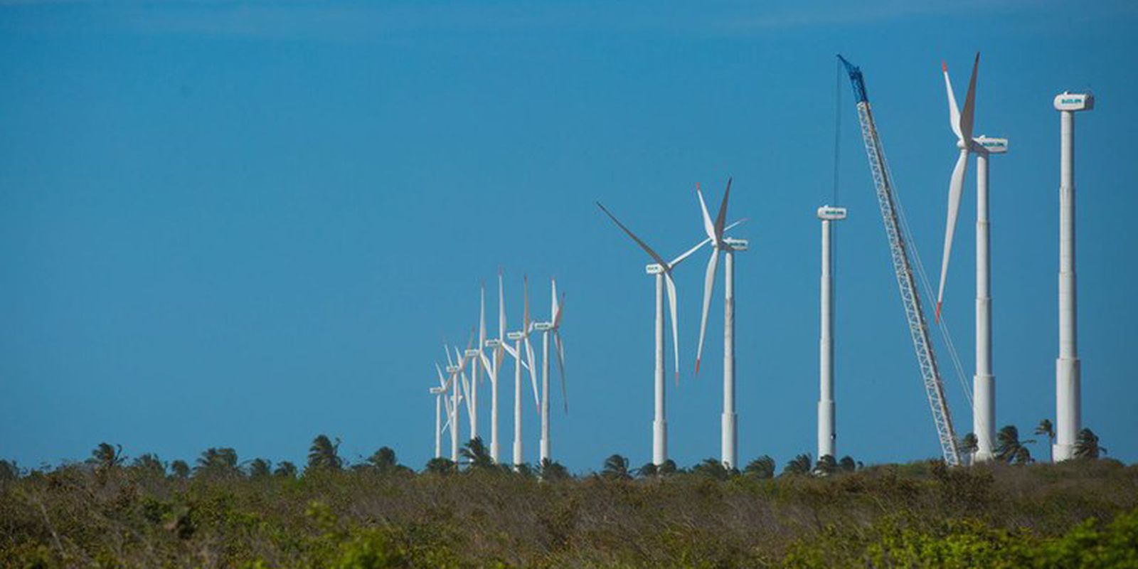 Projeto identifica trajetórias para a economia verde no Nordeste