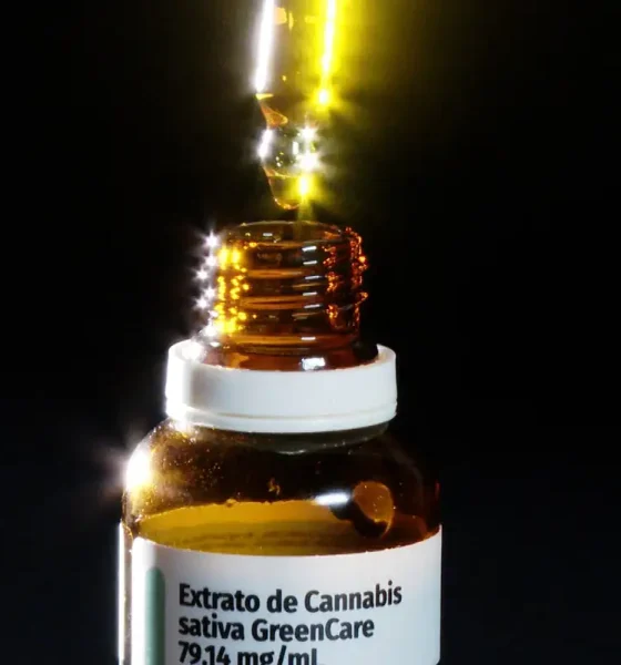 Autorizações para importação de cannabis aumentam 29% em 2026