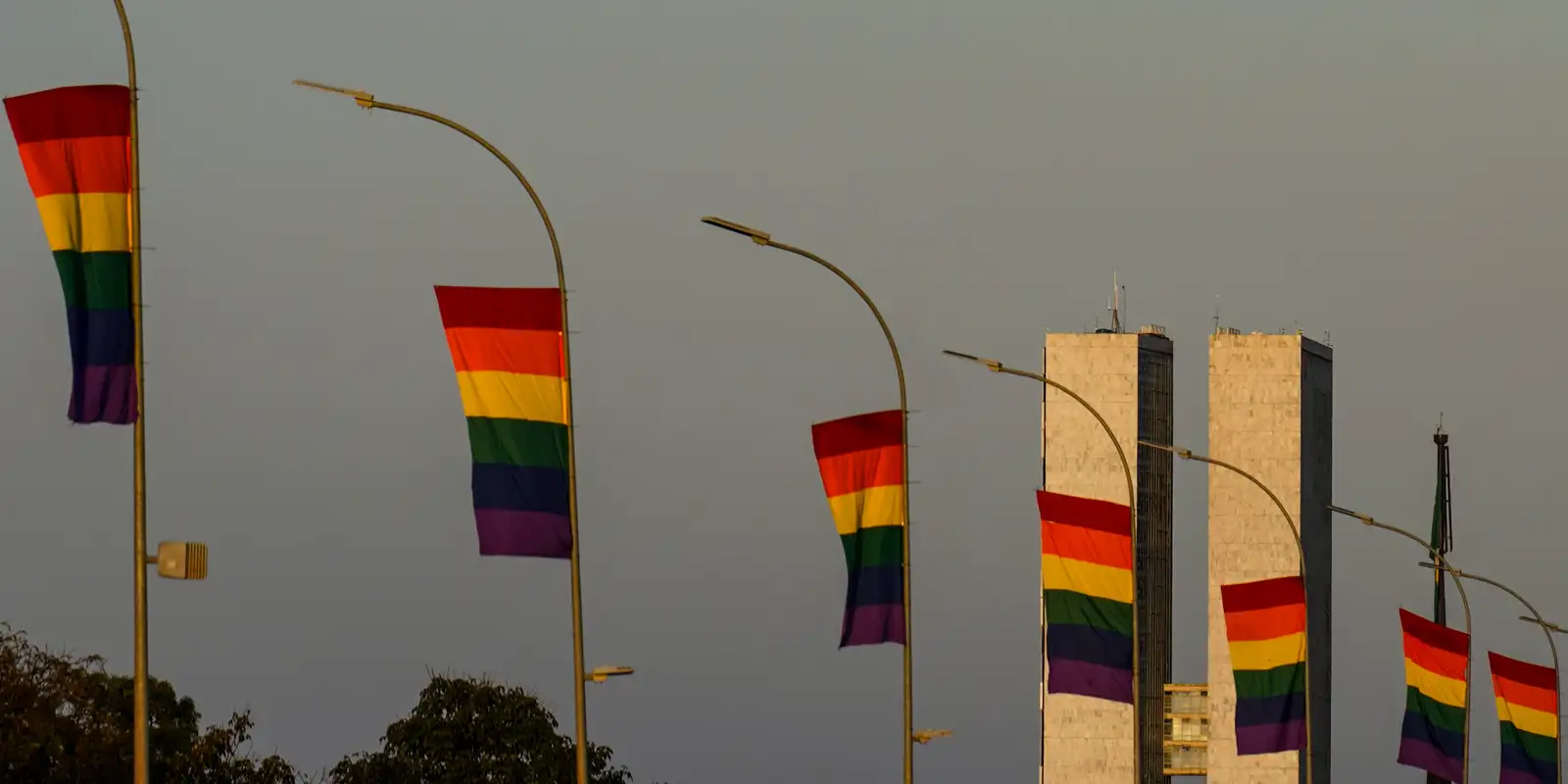 Candidaturas LGBT+ atingem recorde nas eleições de 2026 e se diversificam entre partidos