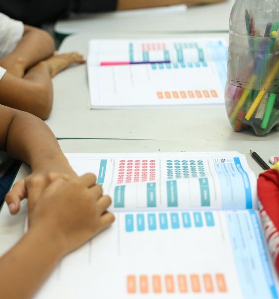 MEC lança diretrizes para ensino de arte na educação básica