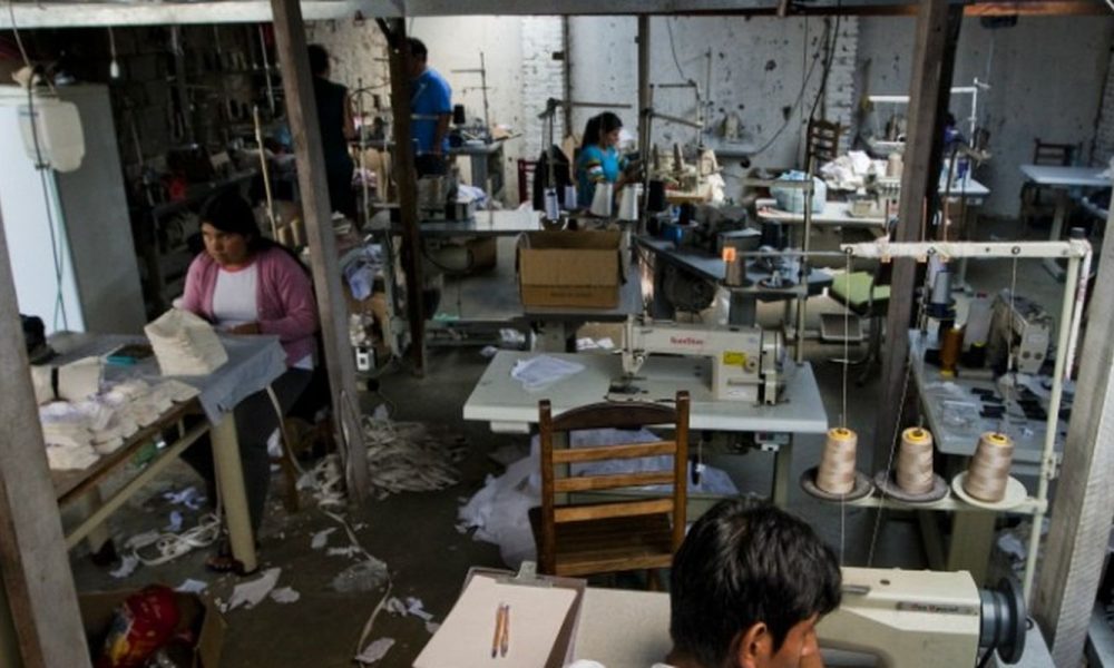 Minas Gerais resgata 5,6 mil trabalhadores em situação análoga à escravidão em 13 anos