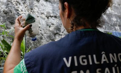 São Paulo registra mais de 58 mil casos de dengue em 2023