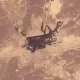 Arábia Saudita interrompe operação de oleoduto enquanto houthis assumem controle no Mar Vermelho