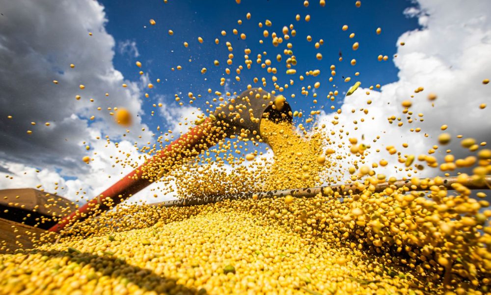Produção agrícola do Brasil ultrapassa R$ 927 bilhões em 2025