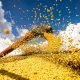 Produção agrícola do Brasil ultrapassa R$ 927 bilhões em 2025