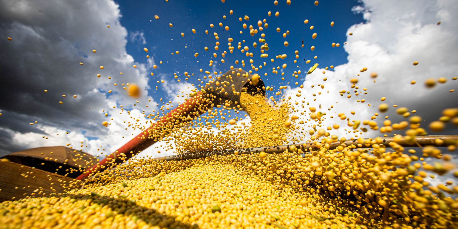 Produção agrícola do Brasil ultrapassa R$ 927 bilhões em 2025