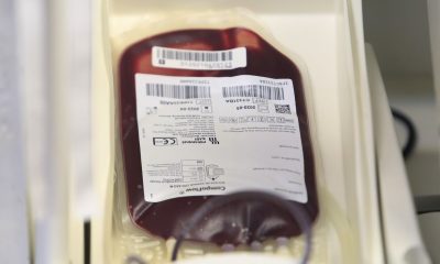 Fundação Pró-Sangue informa sobre baixa no estoque e solicita doações
