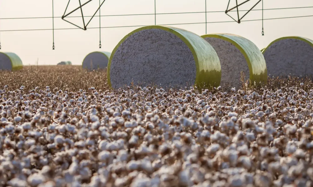 Mudança no mapa reduz participação de Sorriso na produção agrícola