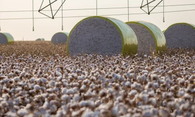 Mudança no mapa reduz participação de Sorriso na produção agrícola