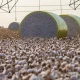 Mudança no mapa reduz participação de Sorriso na produção agrícola