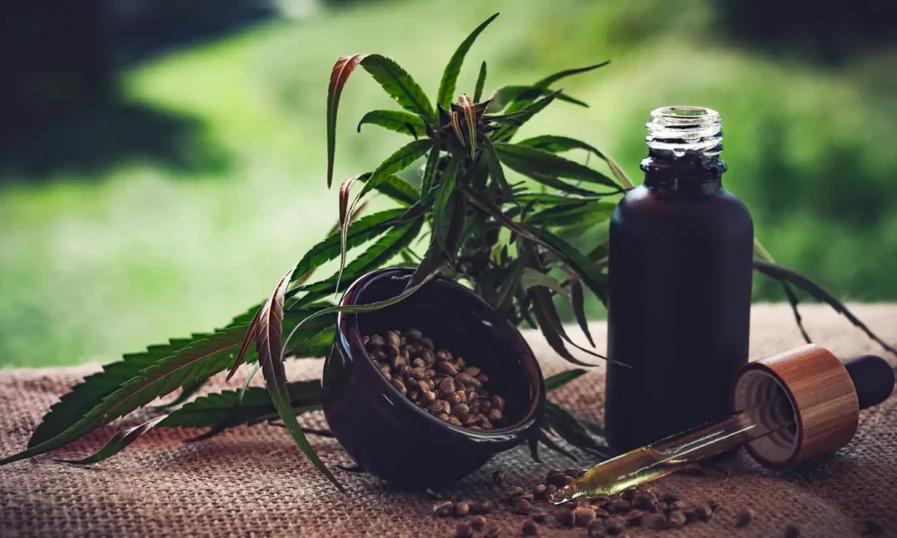 Associações apontam lacunas nas normas sobre cannabis