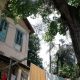 Quilombo urbano na zona sul do Rio de Janeiro mantém viva a história de resistência