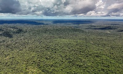 Fazenda autoriza crédito de US$ 1 bilhão do BID para Eco Invest Brasil