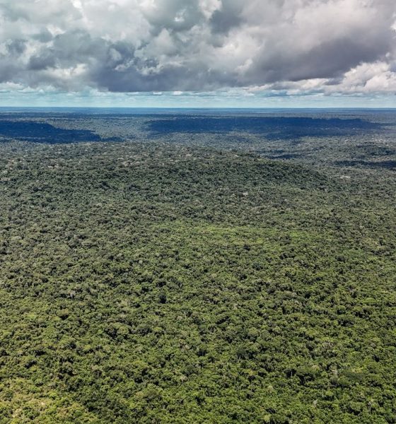 Fazenda autoriza crédito de US$ 1 bilhão do BID para Eco Invest Brasil