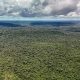 Fazenda autoriza crédito de US$ 1 bilhão do BID para Eco Invest Brasil