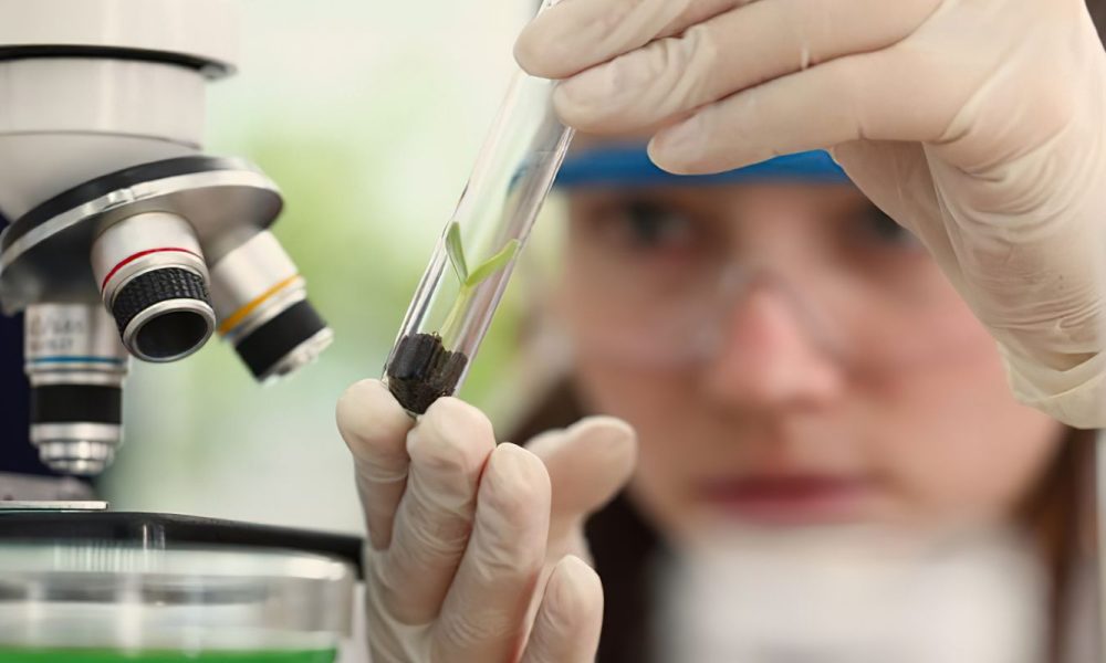 Inscrições para prêmio destinado a mulheres e meninas cientistas vão até outubro