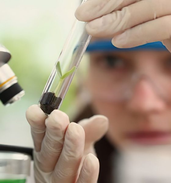 Inscrições para prêmio destinado a mulheres e meninas cientistas vão até outubro