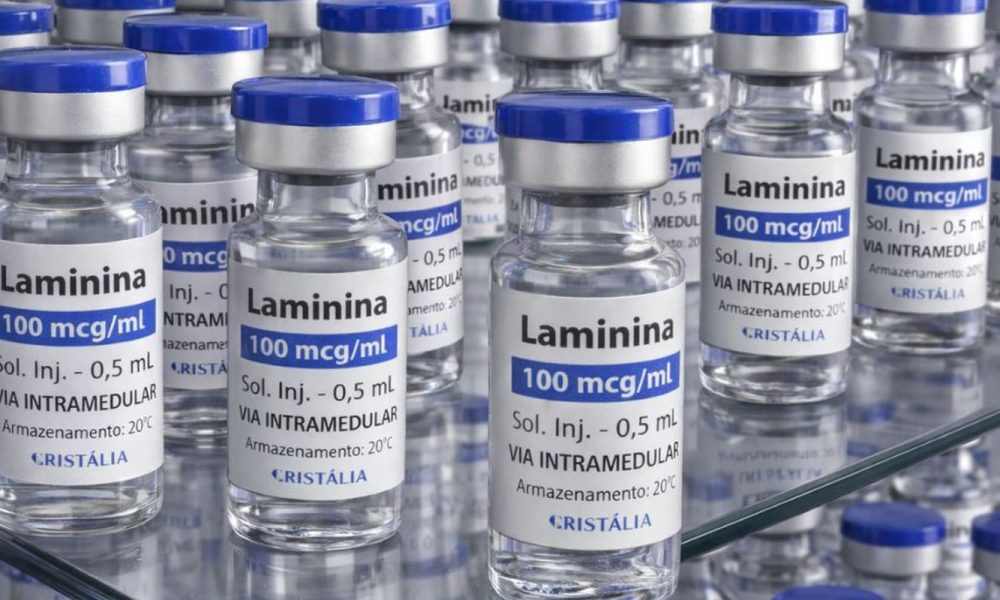 Início dos testes clínicos de fase 1 da polilaminina está previsto para este mês