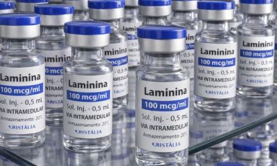Início dos testes clínicos de fase 1 da polilaminina está previsto para este mês