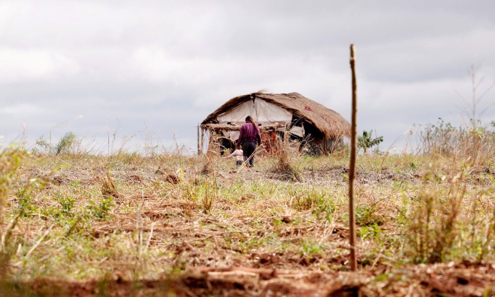 Redução de assassinatos no campo é acompanhada por aumento de conflitos agrários