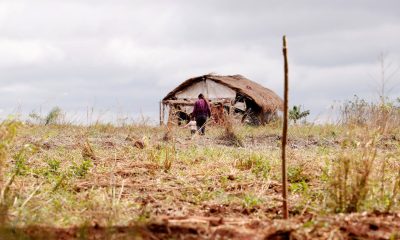 Redução de assassinatos no campo é acompanhada por aumento de conflitos agrários