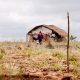 Redução de assassinatos no campo é acompanhada por aumento de conflitos agrários