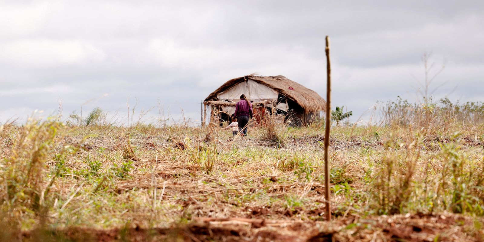 Redução de assassinatos no campo é acompanhada por aumento de conflitos agrários